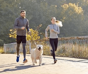 Exercising with Your Dog – Tips and Tricks