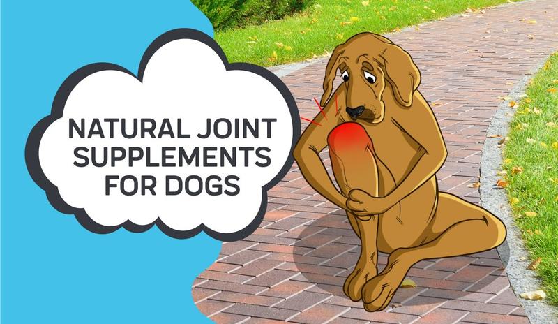 Natural Joint Supplements For Dogs