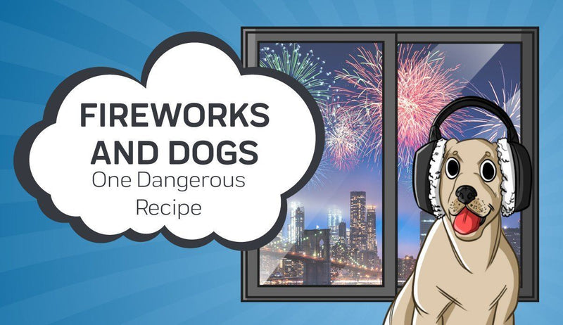 How To Calm Your Dog During Fireworks
