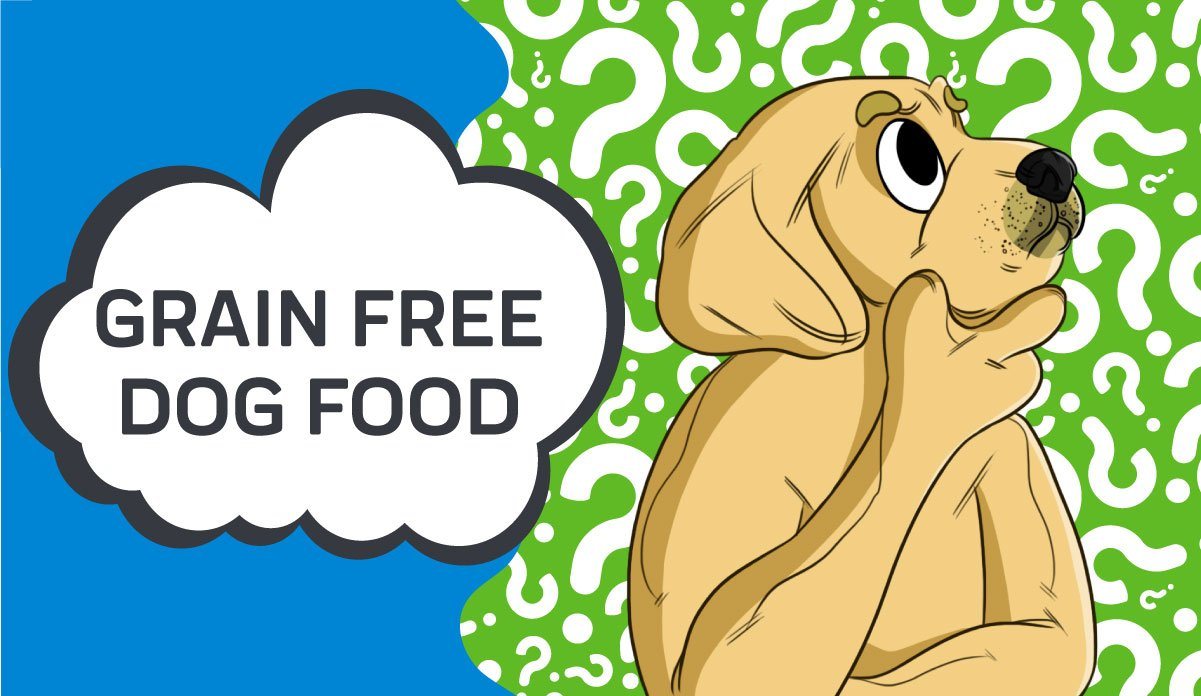 is grain free food bad for my dog