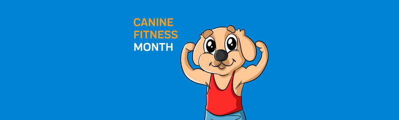 Canine Fitness Month
