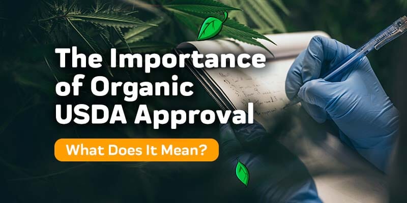 The Importance of USDA Certification for CBD Products