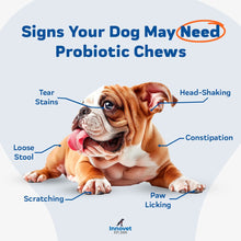 Load image into Gallery viewer, Signs your dog may need probiotic chews