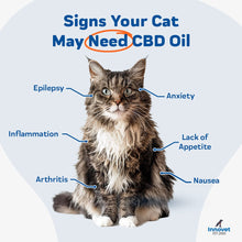 Load image into Gallery viewer, CBD Oil for Cats