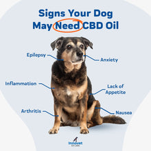 Load image into Gallery viewer, CBD Oil for Dogs