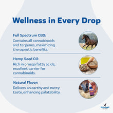 Load image into Gallery viewer, CBD Oil for Horses