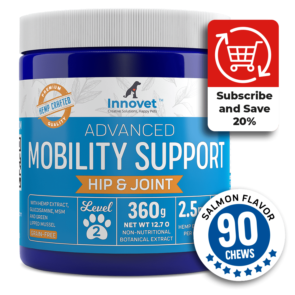 Advanced Mobility Support Chews for Dogs