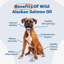 Load image into Gallery viewer, Wild Alaskan Salmon Oil with Hemp Oil
