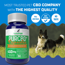 Load image into Gallery viewer, Hemp CBD Capsules for Dogs - | Innovet Pet