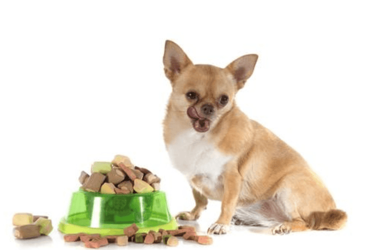 Propylene Glycol – An Ingredient to Avoid in Pet Products