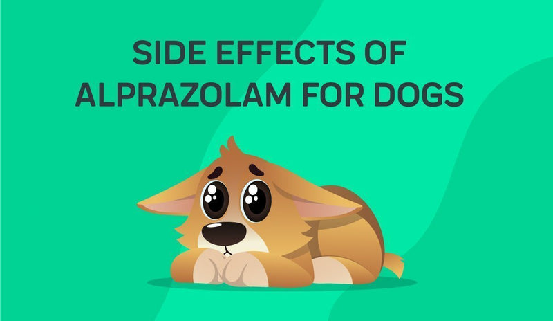 Side Effects Of Alprazolam For Dogs
