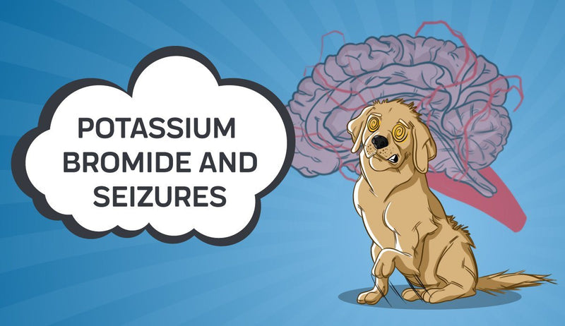 Potassium Bromide and Seizures