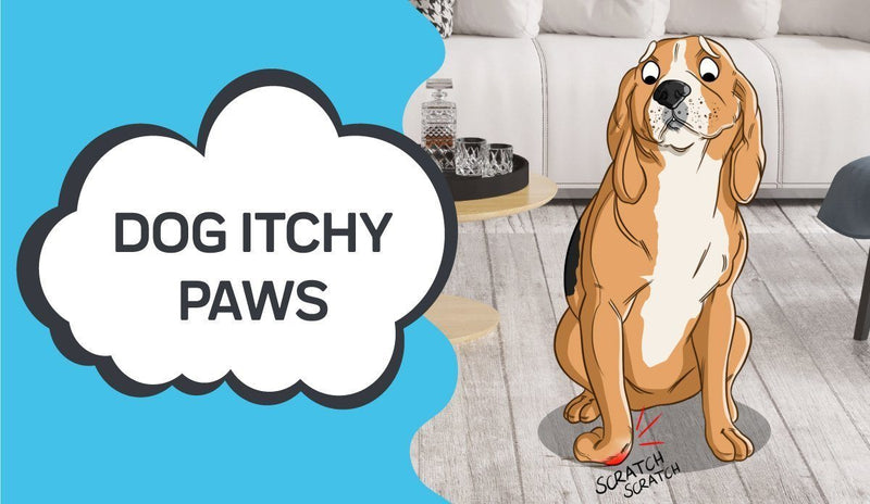 Dog Itchy Paws
