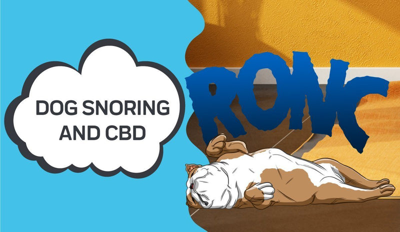 How to Stop a Dog from Snoring