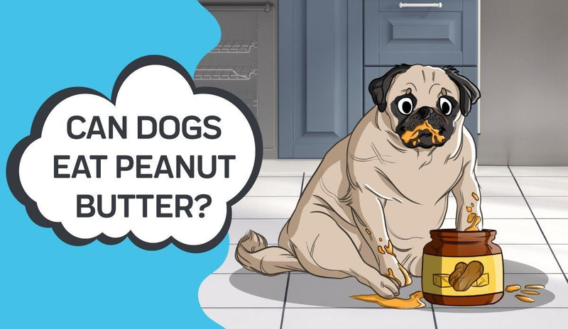 Can Dogs Eat Peanut Butter?