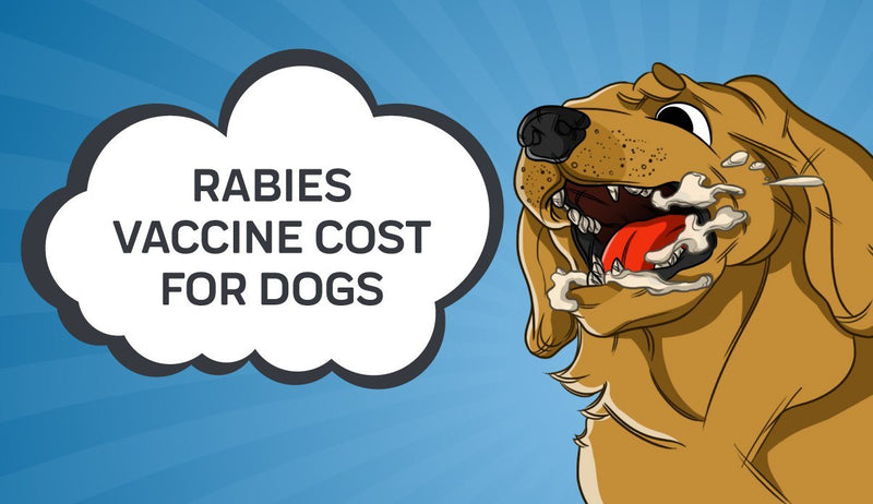 Rabies and How Much does the Rabies Vaccine Cost for Dogs