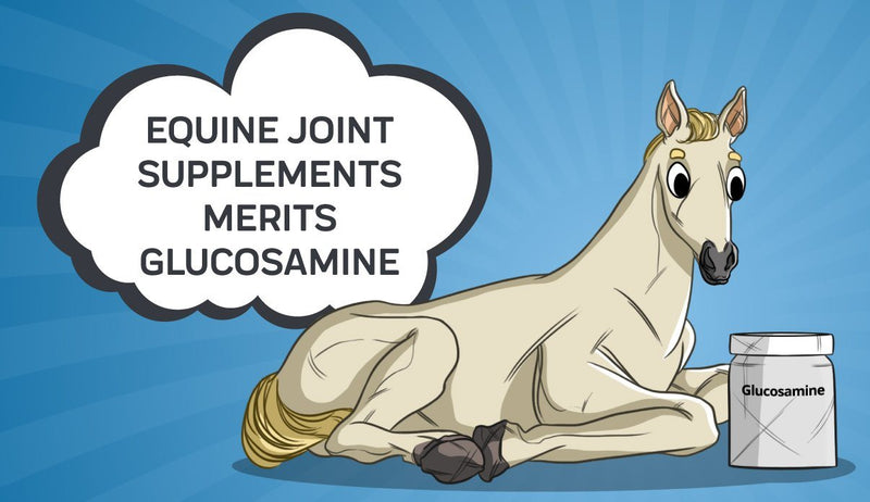 Equine Joint Supplements Merits Glucosamine
