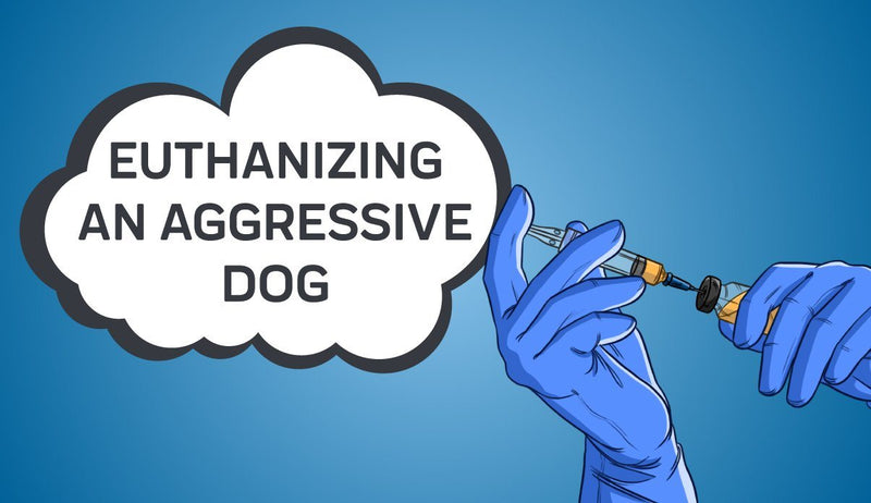 Euthanizing an Aggressive Dog