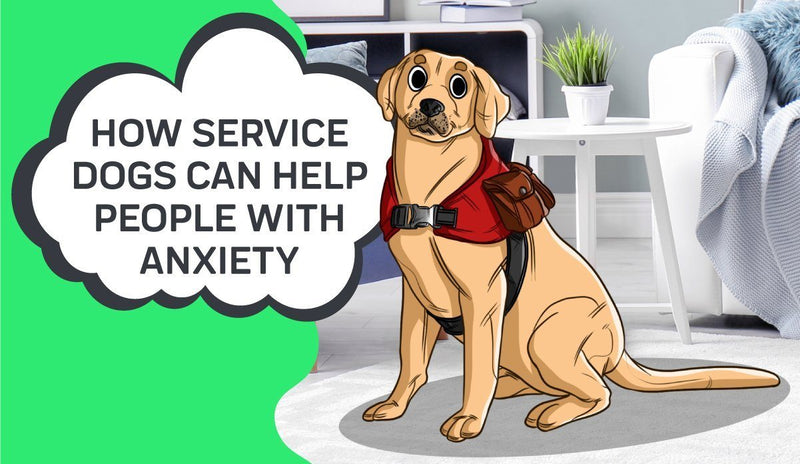 How Service Dogs Can Help People With Anxiety