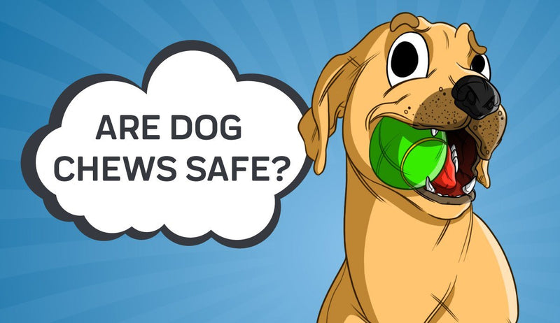 Are Dog Chews Safe?