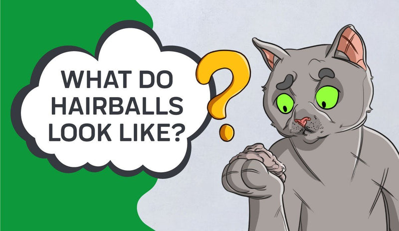 What Do Hairballs Look Like?