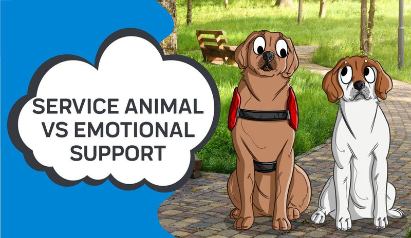 Service Animal Vs Emotional Support