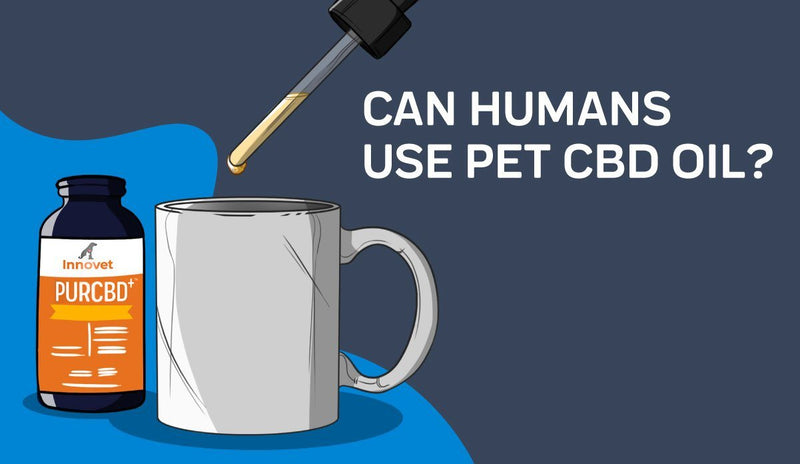 Can Humans Use Pet CBD Oil?