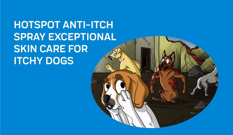 HotSpot Anti-Itch Spray: Exceptional Skin Care For Itchy Dogs