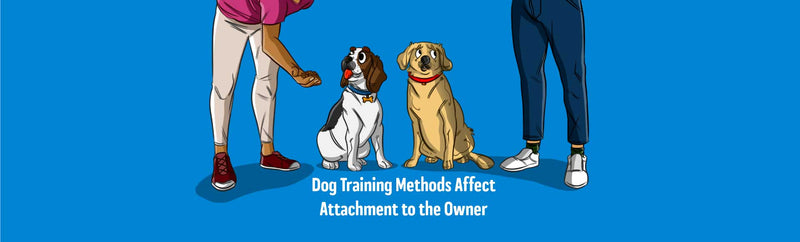 How Training Your Dog Can Affect Their Attachment To You