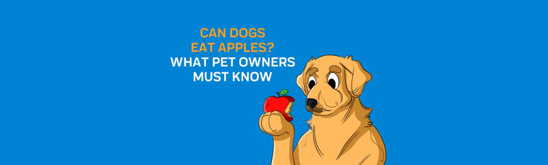Can Dogs Eat Apples? What Pet Owners Must Know