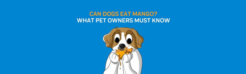 Can Dogs Eat Mango? What Pet Owners Must Know