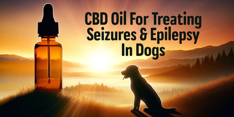 CBD Oil For Treating Seizures & Epilepsy In Dogs