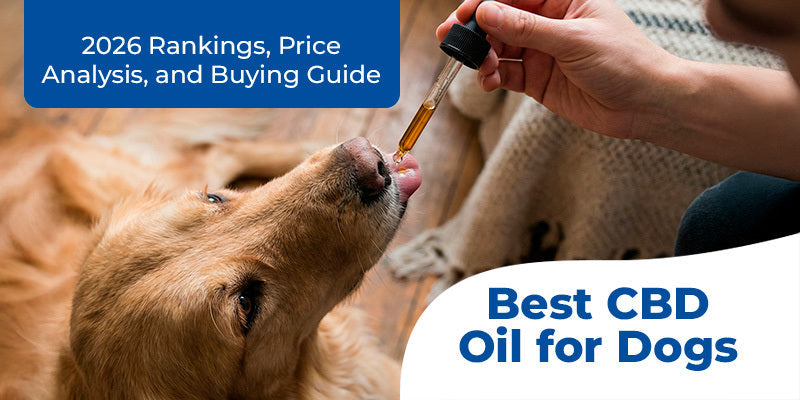 Best CBD Oil for Dogs: 2026 Rankings, Price Analysis, and Buying Guide