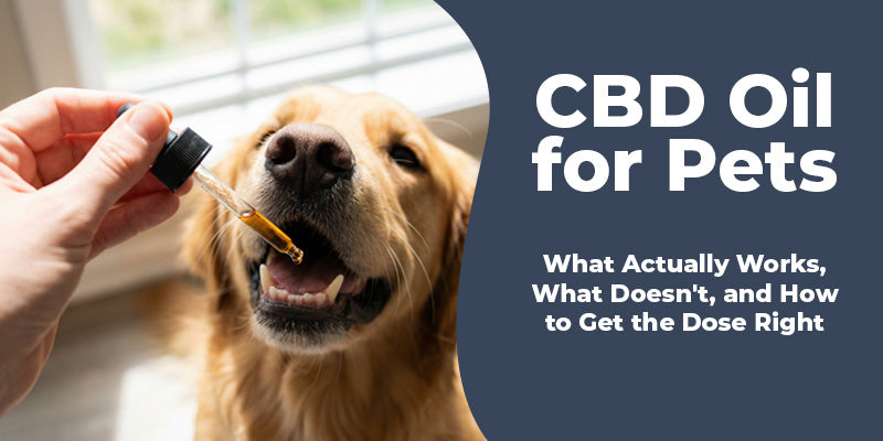 CBD Oil for Pets: What Actually Works, What Doesn't, and How to Get the Dose Right