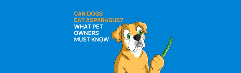 Can Dogs Eat Asparagus? What Pet Owners Must Know