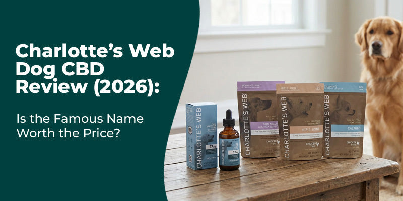 Charlotte’s Web Dog CBD Review (2026): Is the Famous Name Worth the Price?