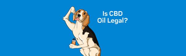 Is CBD Oil Legal