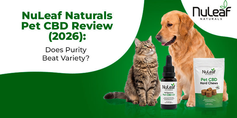 NuLeaf Naturals Pet CBD Review (2026): Does Purity Beat Variety?