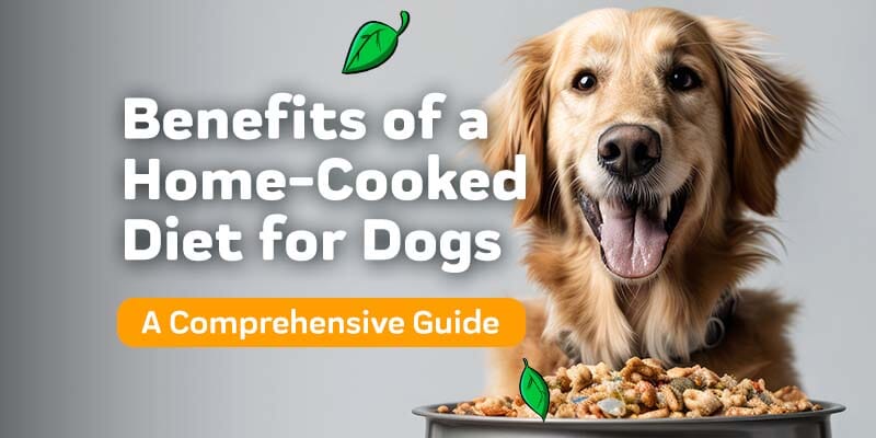The Benefits of a Home-Cooked Diet for Dogs: A Comprehensive Guide