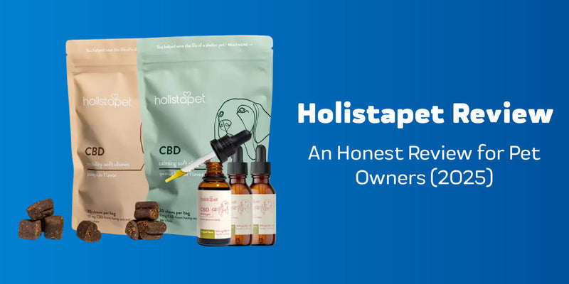 HolistaPet CBD Oil for Dogs: An Honest Review for Pet Owners (2025)