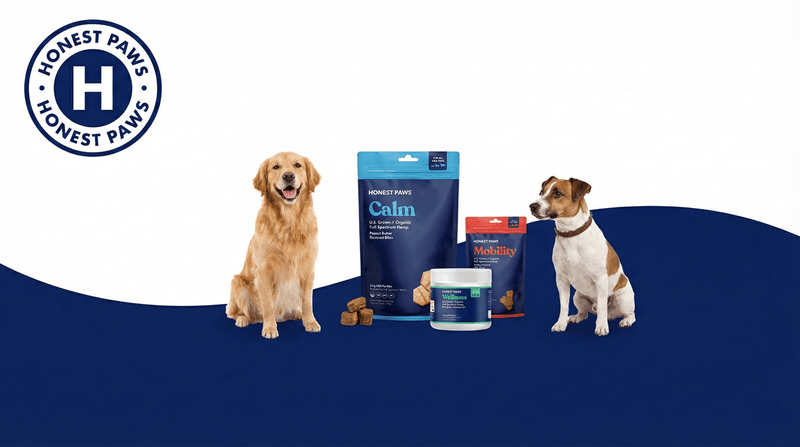 Honest Paws Review (2026): Is It Worth the Premium Price?