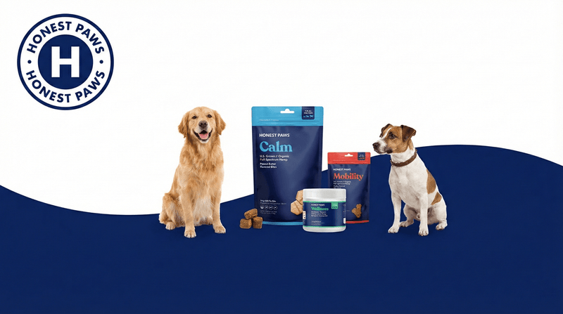 Honest Paws Review (2026): Is It Worth the Premium Price?