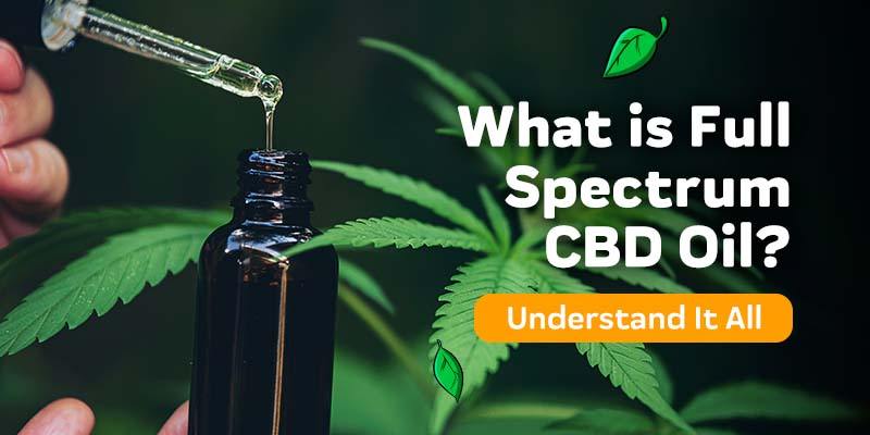 What Is Full Spectrum CBD Oil?