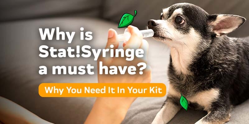 Why is Stat!Syringe a must for all dog first aid tools?