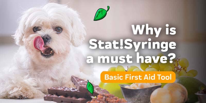 Why is Stat!Syringe a must for all dog owners? - Basic First aid tools for dogs