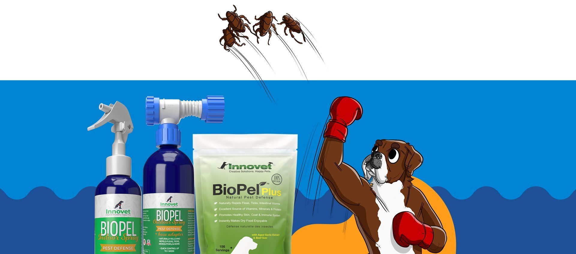 Flea & Tick Protection – Innovet Pet