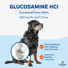 Load image into Gallery viewer, Advanced Mobility Support Chews for Dogs
