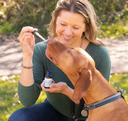 photo of a woman giving their dog cbd from a dropper bottle