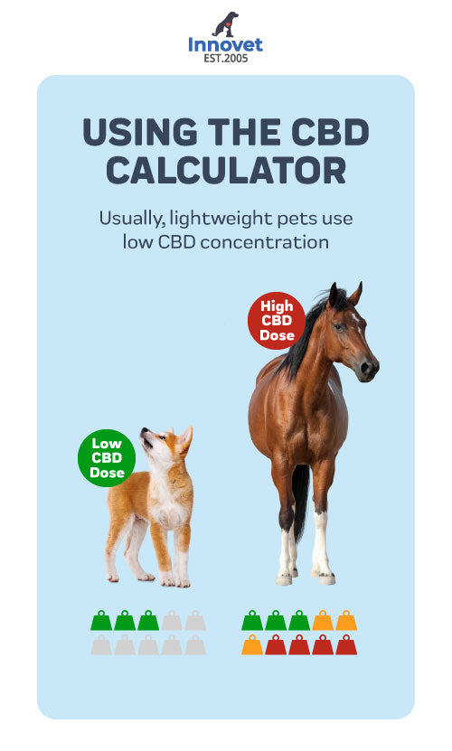 Using the dosing calculator - Usually, lightweight pets use low CBD concentration.