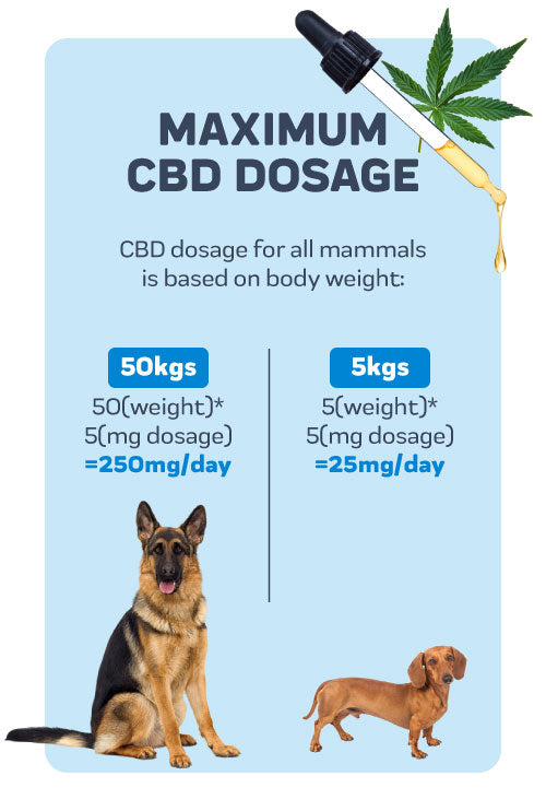 CBD dosage calculator details